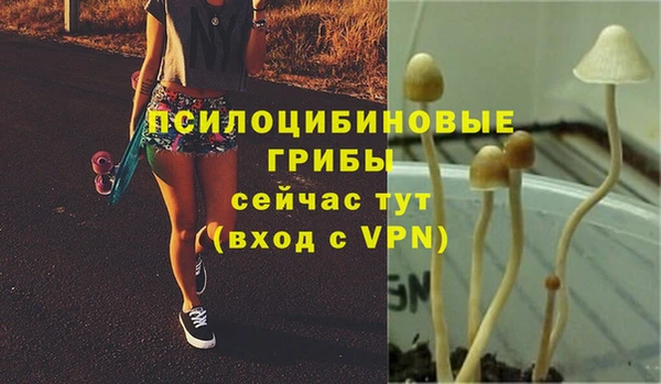 a pvp Бронницы
