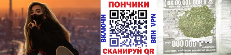 где купить наркоту  Новохопёрск  shop какой сайт  Каннабис сатива  hydra ССЫЛКА 